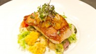Social's Black Cod