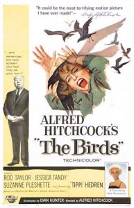 birds