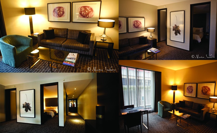Hazelton3