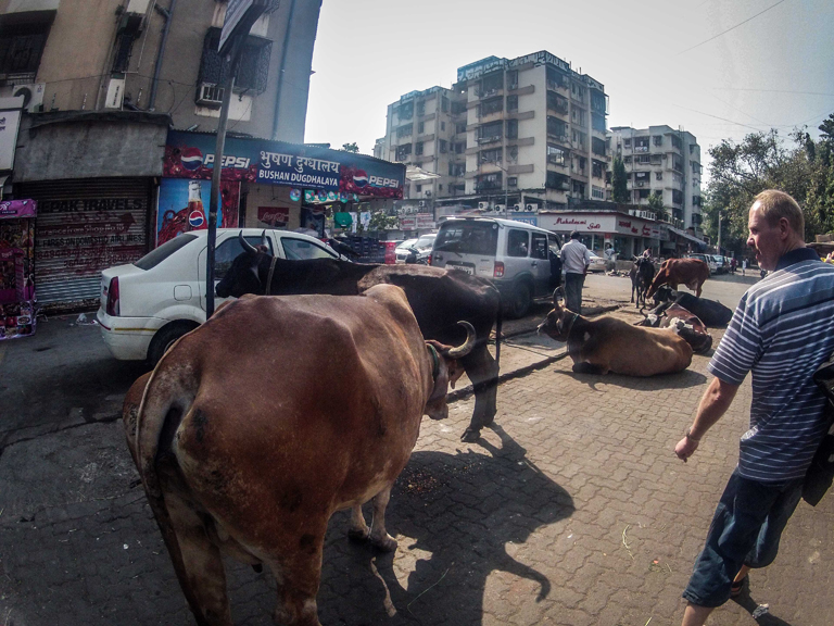 DCIM100GOPRO