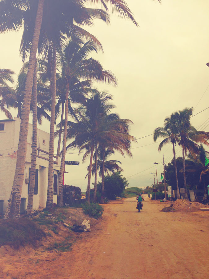 Coconut Diaries: Gringa’s Adventures In South America
