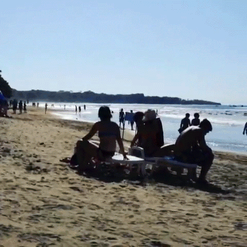 Tamarindo-2