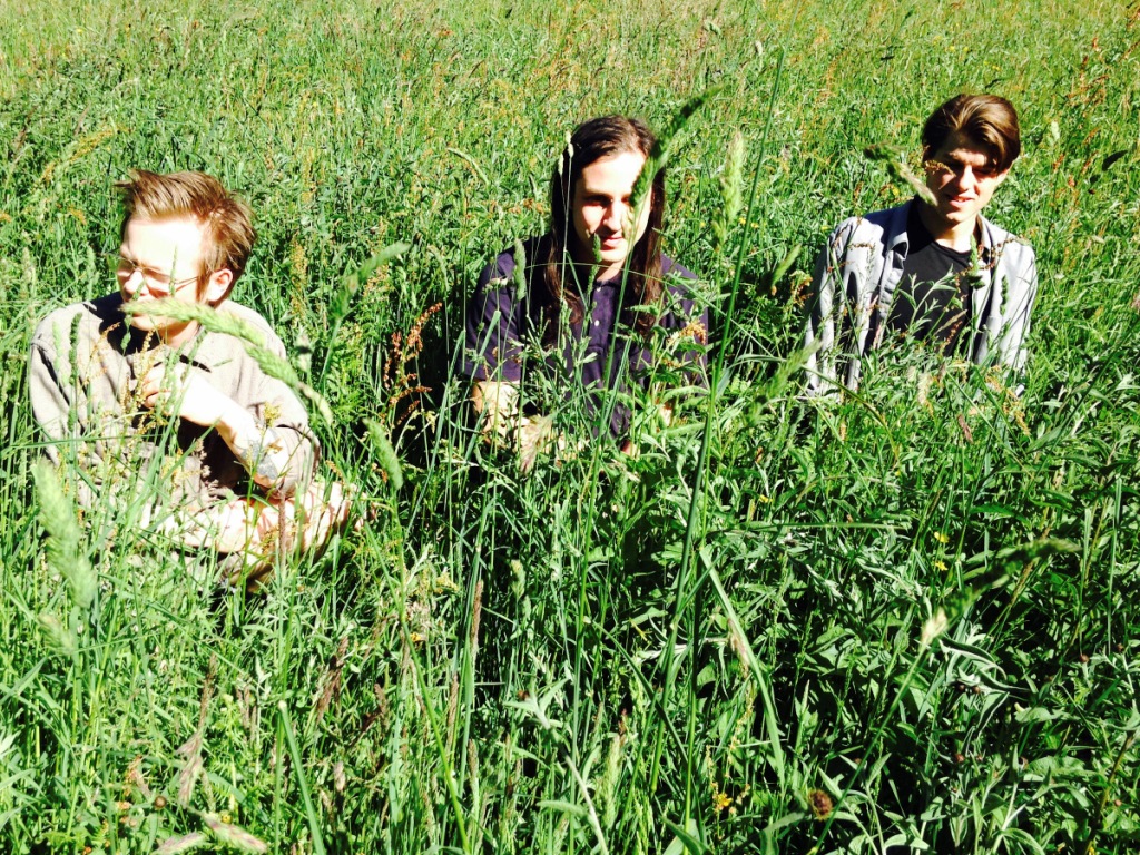 Wand’s “1000 Days” of Record-Making