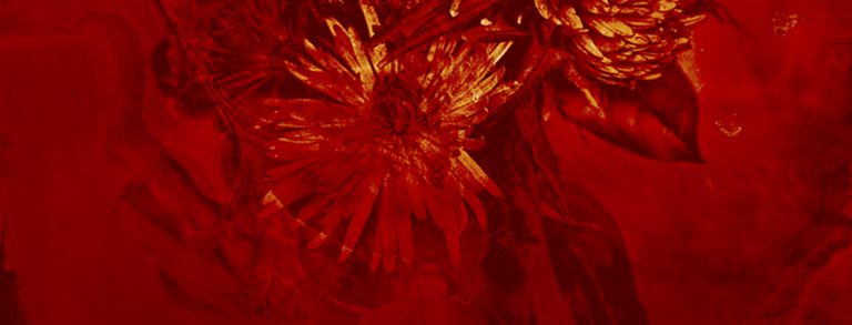 Artistic Eruption
