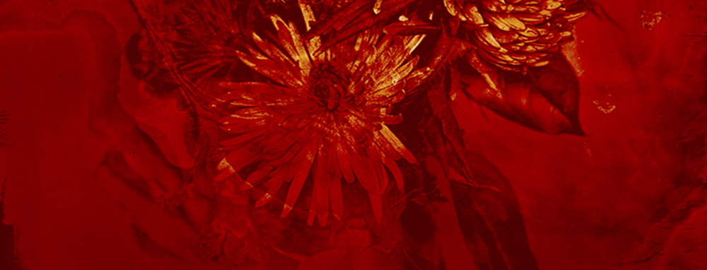 Artistic Eruption