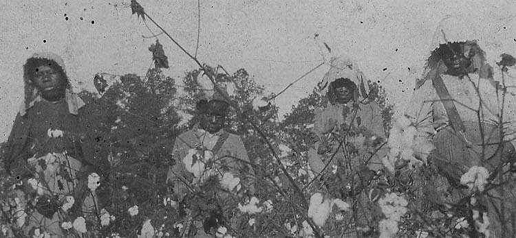 From Plantations To Prisons